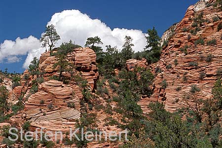 zion np - national park usa 035